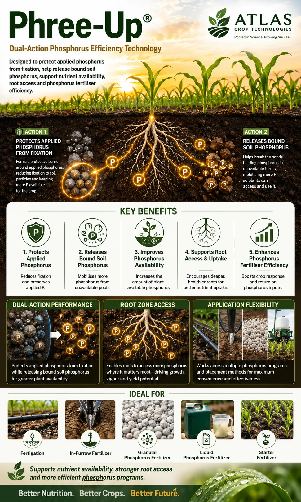 Phree-Up® phosphorus efficiency and availability technology