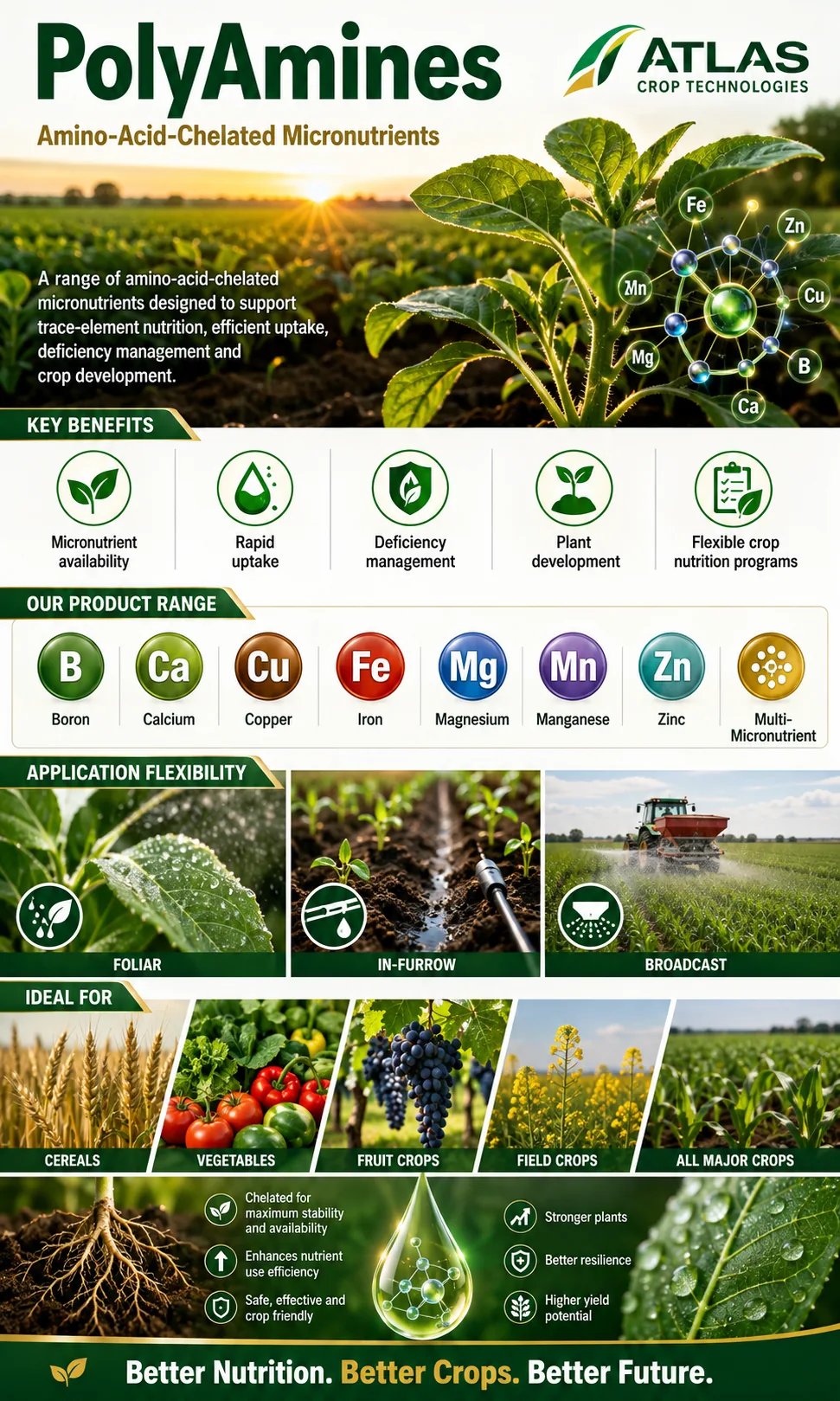 PolyAmines amino-acid-chelated micronutrient crop nutrition technology